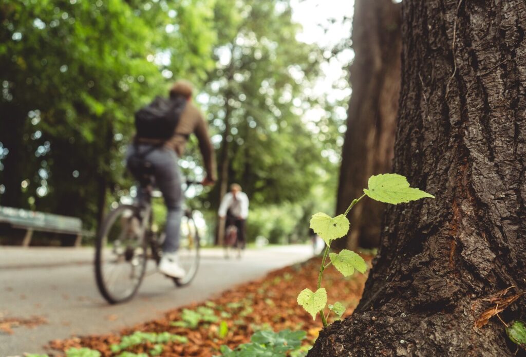 cicloturismo a Bologna